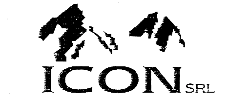 Logo Icon SRL